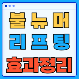 불뉴머 리프팅