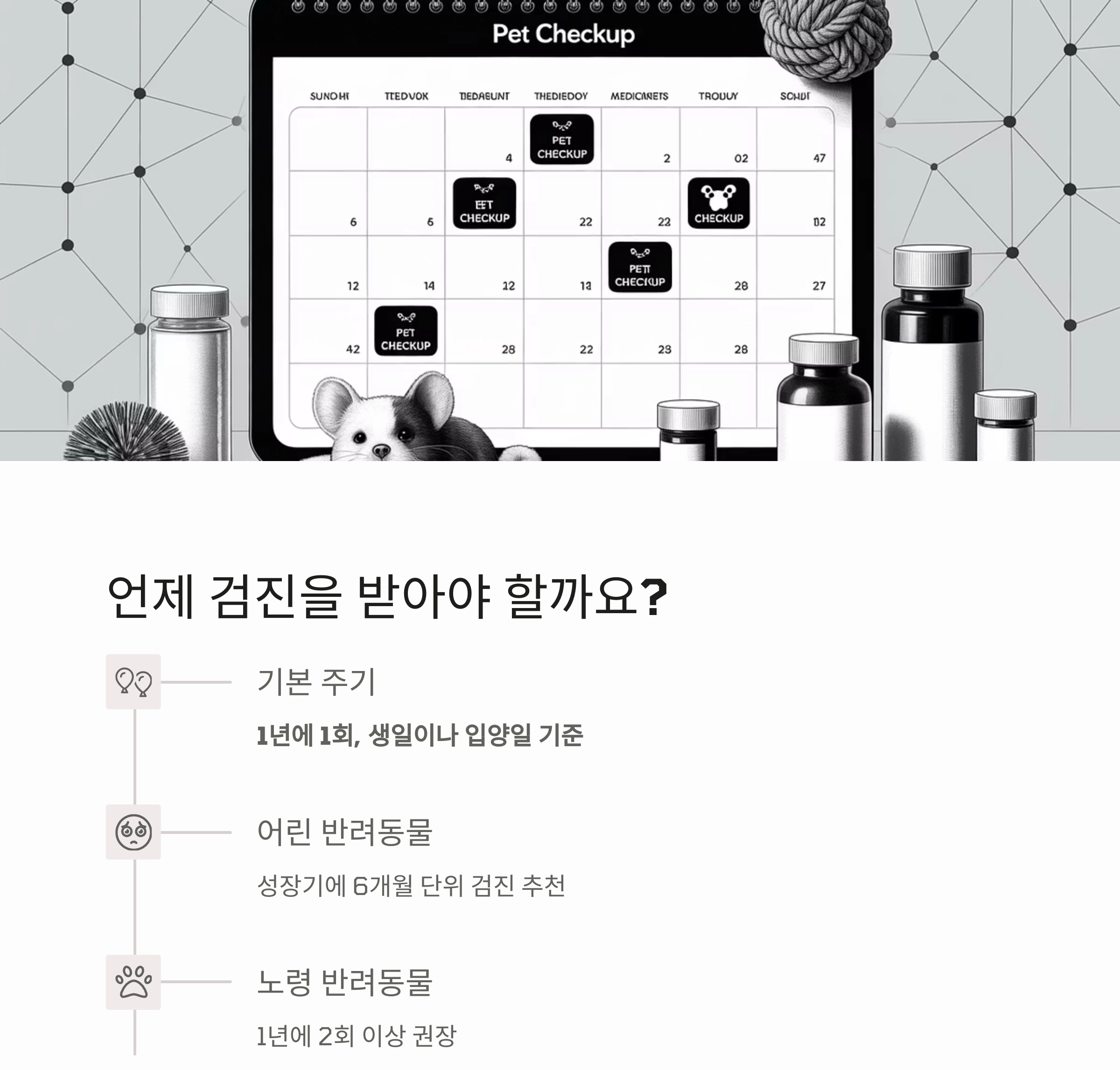 반려동물 건강관리, 1년에 한 번은 꼭 필요한 이유