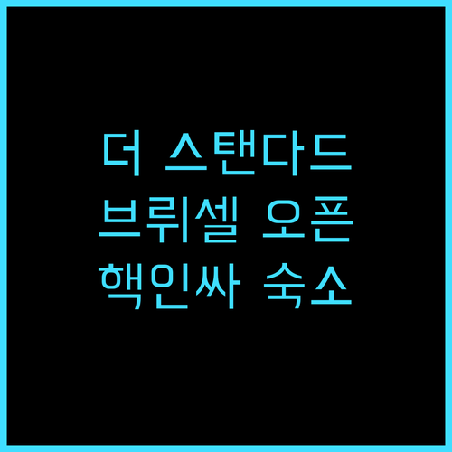 더 스탠다드 브뤼셀 추천 후기 202..