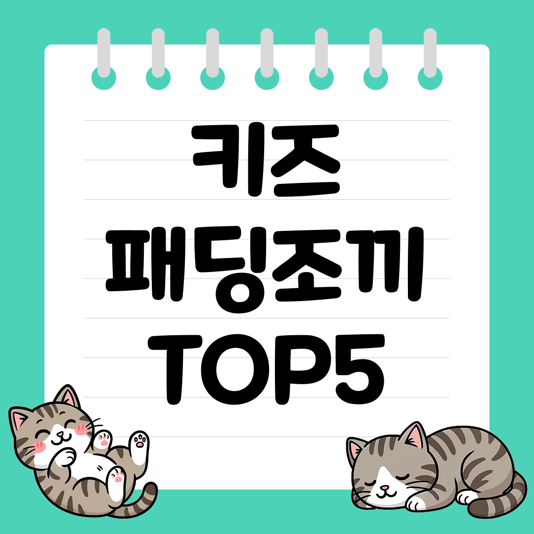 2025년 간절기 환절기에 좋은 키즈 경량패딩 추천 순위 TOP5