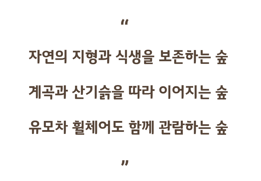 화담숲 예약방법 입장요금 할인정보 모노레일 예매방법 이용요금