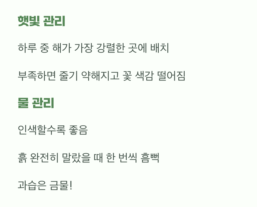 태양을 사랑하는 꽃, 물 관리는 까다롭게