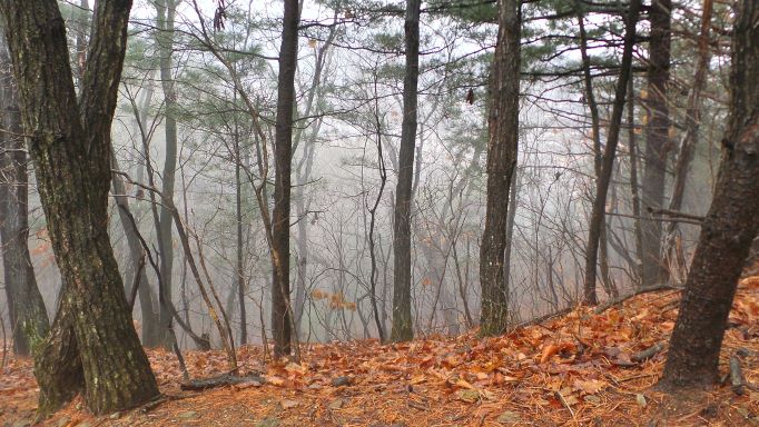 안개낀 산아래, 안개에 묻혀 안 보입니다.