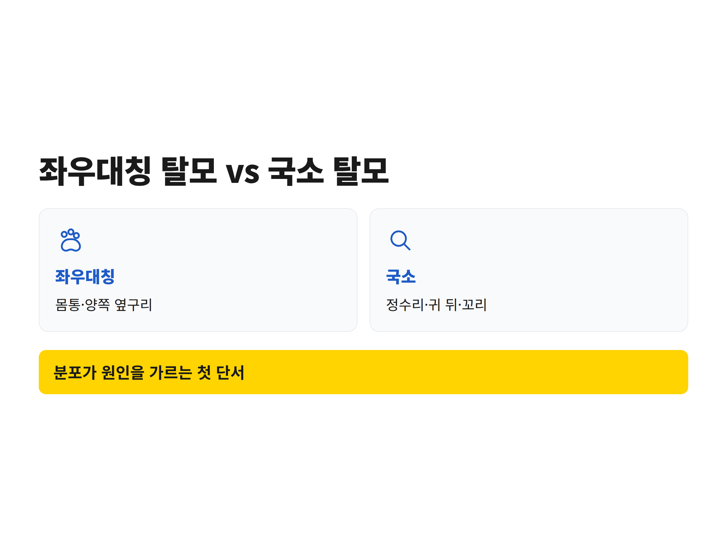 강아지 몸에서 좌우대칭 탈모와 국소 탈모가 나타나는 위치를 표시한 도식