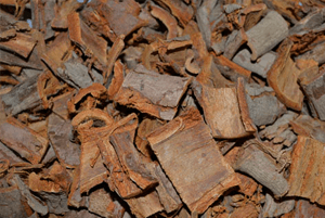 느릅나무껍질효능5