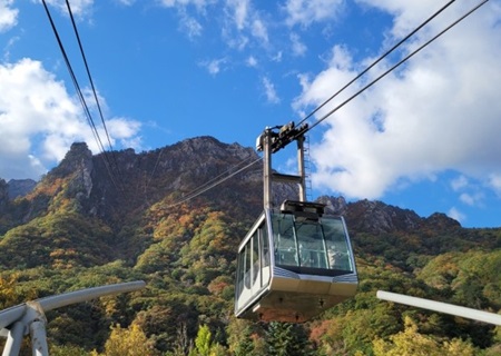 국내 여행지 속초 여행, 뉴트로와 풍미속으로(1)
