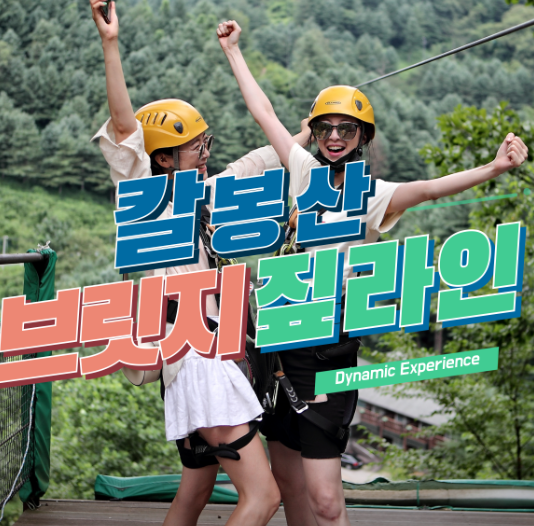  브릿지짚라인