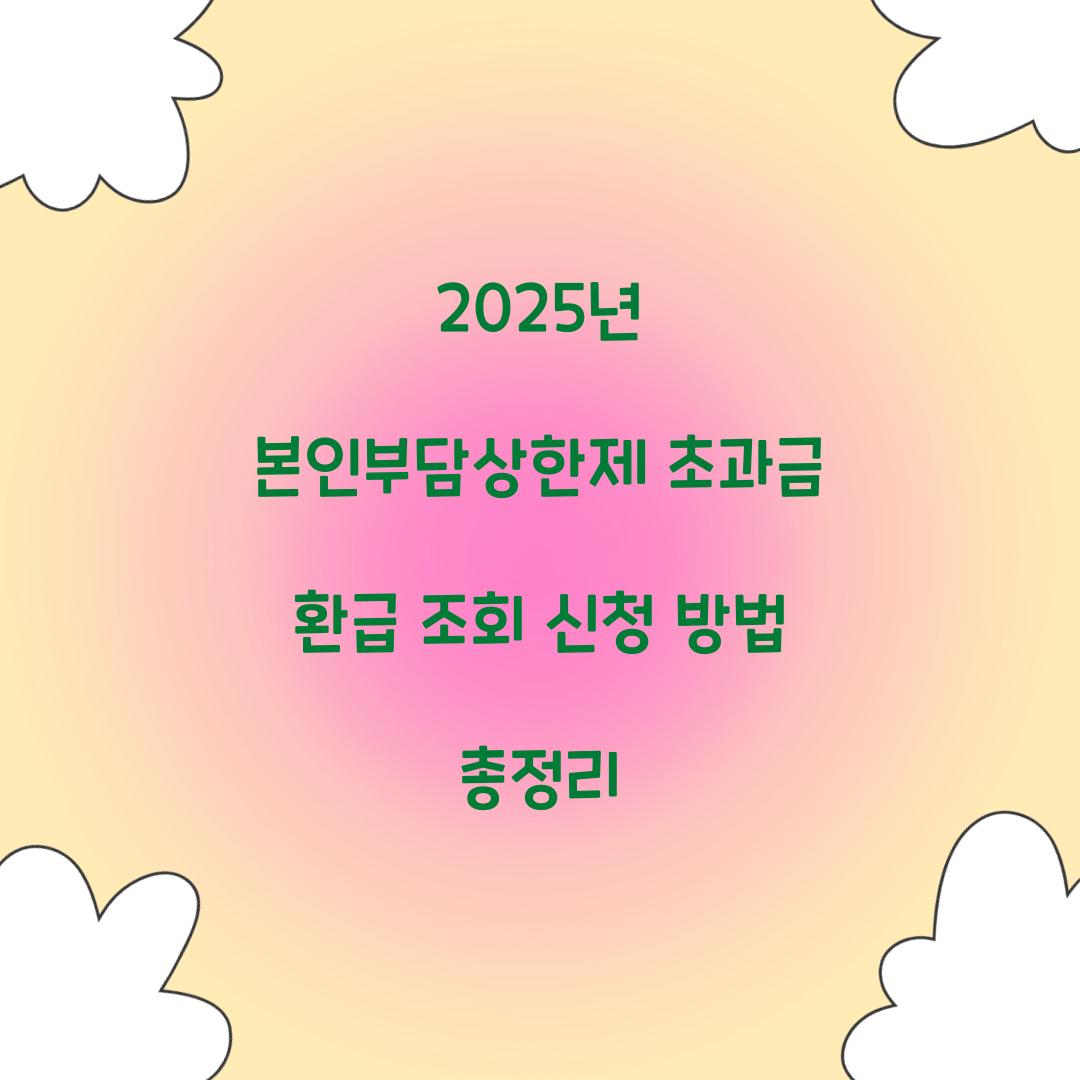2025년 본인부담상한제 초과금 환급