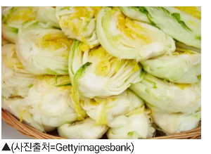 배추 쉽게 절이는 방법