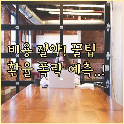 장기 등록 할인과 환율 변동성 예측으..