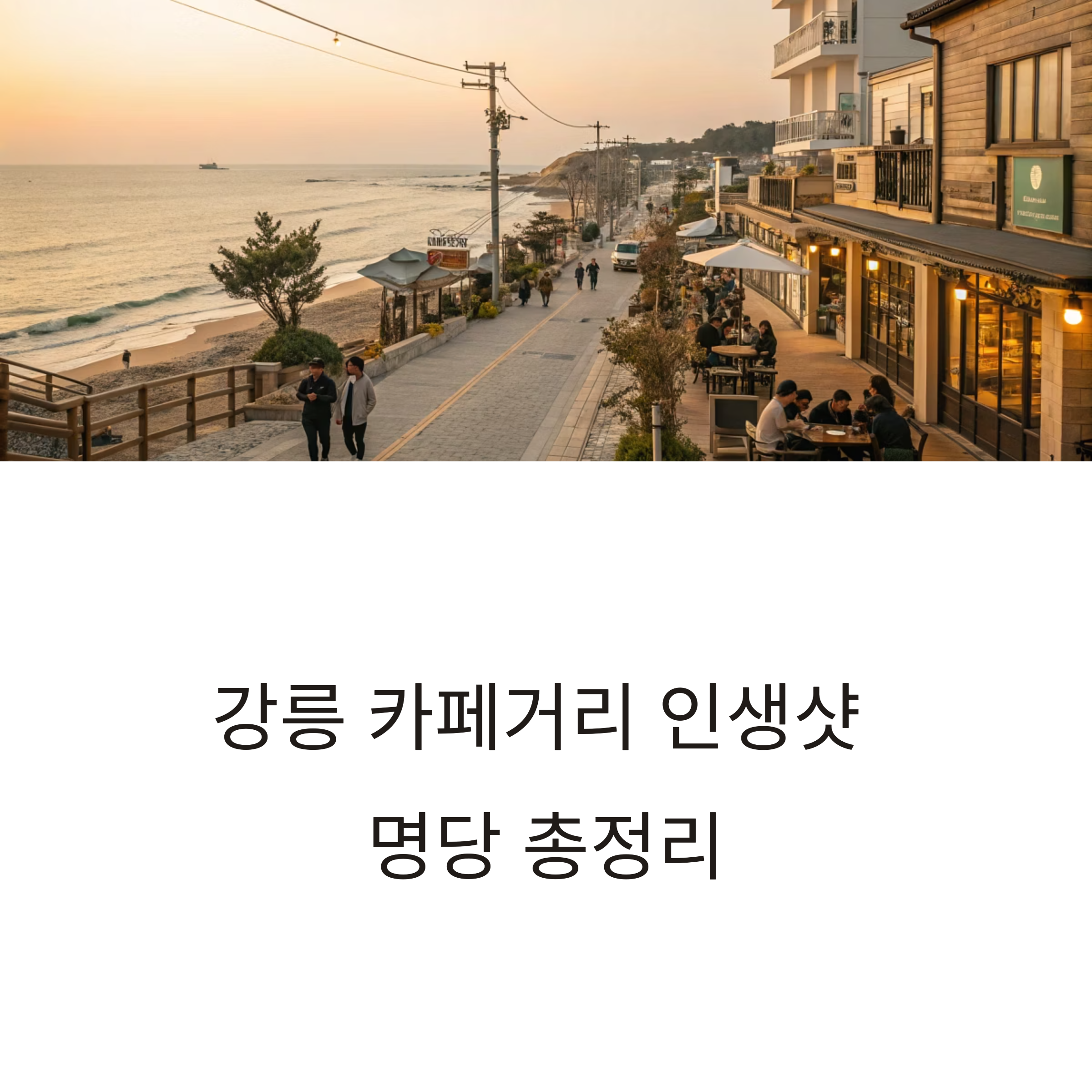 강릉 카페거리 인생샷 명당