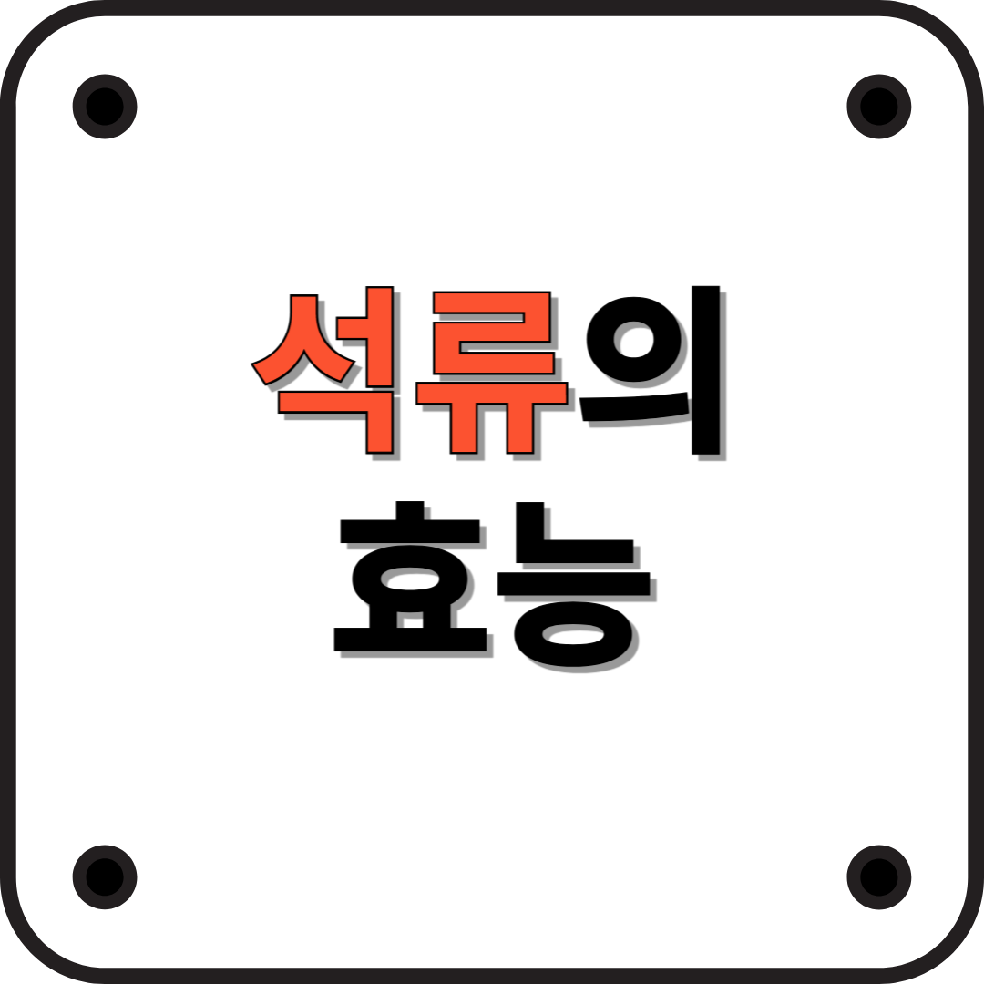 석류와 석류즙의 놀라운 효능! 건강을 위한 최고의 선택