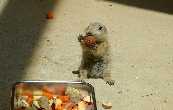 서천 국립생태원 예약 입장료 숙소 맛집