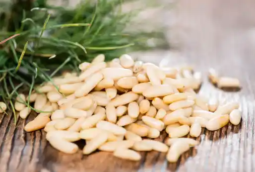 잣 효능효과 영양성분, 먹을 때 주의점