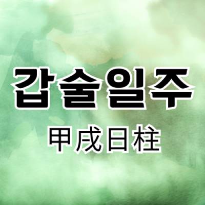 갑술일주(甲戌日柱)