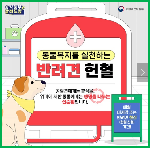 반려견 헌혈