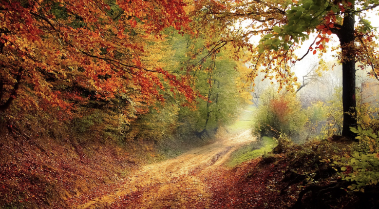 가을, 잎이 물들기 전 풍경 &ndash; 희소성 있는 국내 가을 여행지 3선