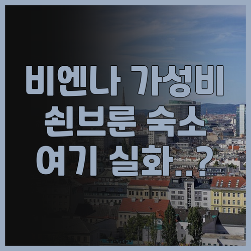 이버시티 빈 쇤브룬 후기 가성비와 위..