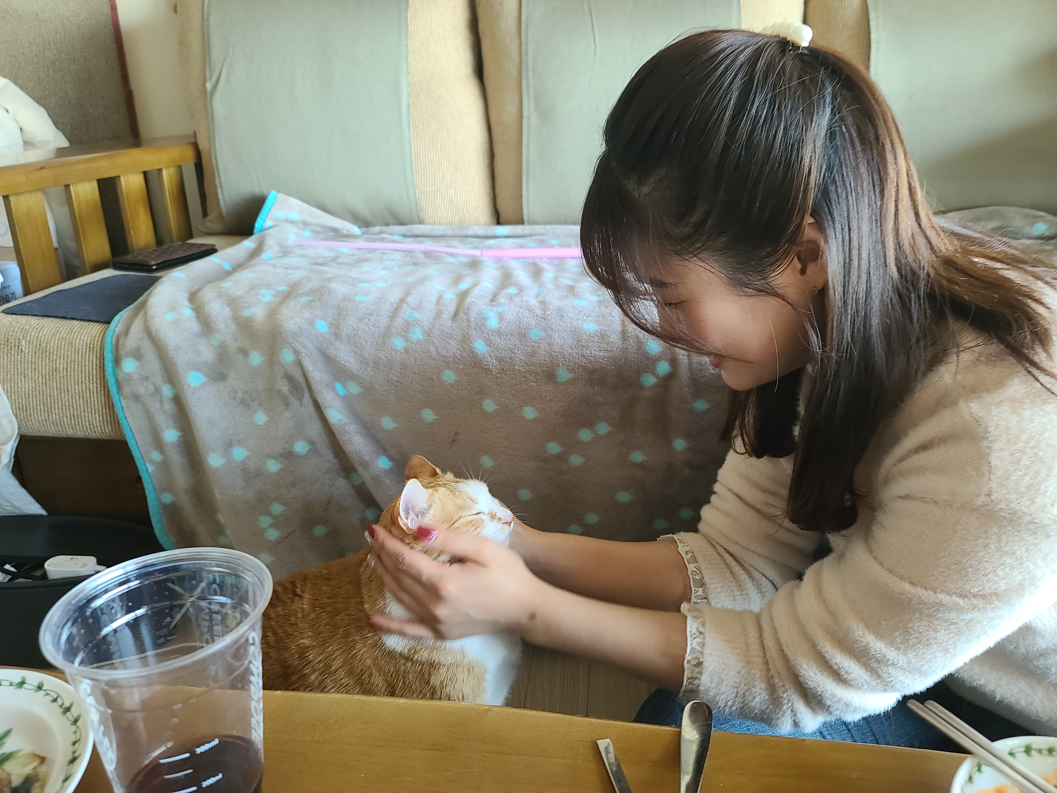 사실...호야랑 막둥이는 접대냥이었다!(feat.원조 접대냥 루나와 재밌는포즈 루디)