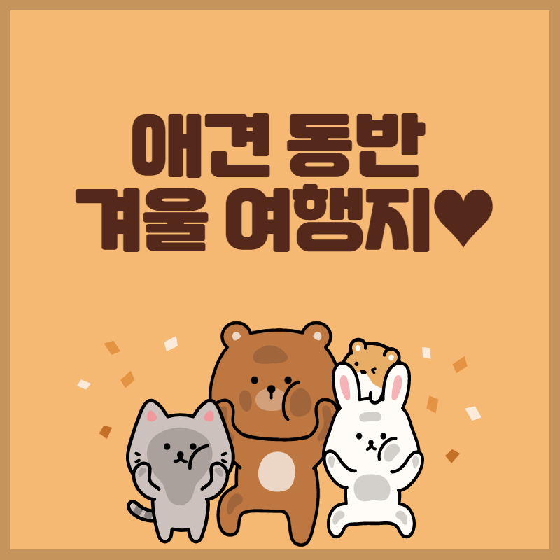 애견 동반 겨울 여행지