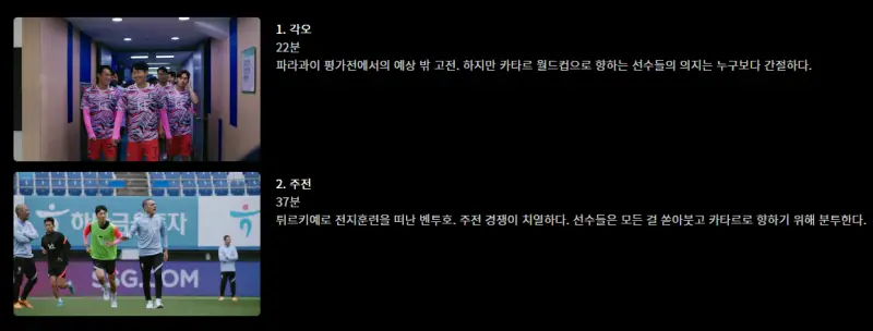 국대-로드-투-카타르