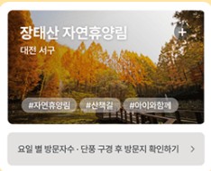 단풍여행지 추천