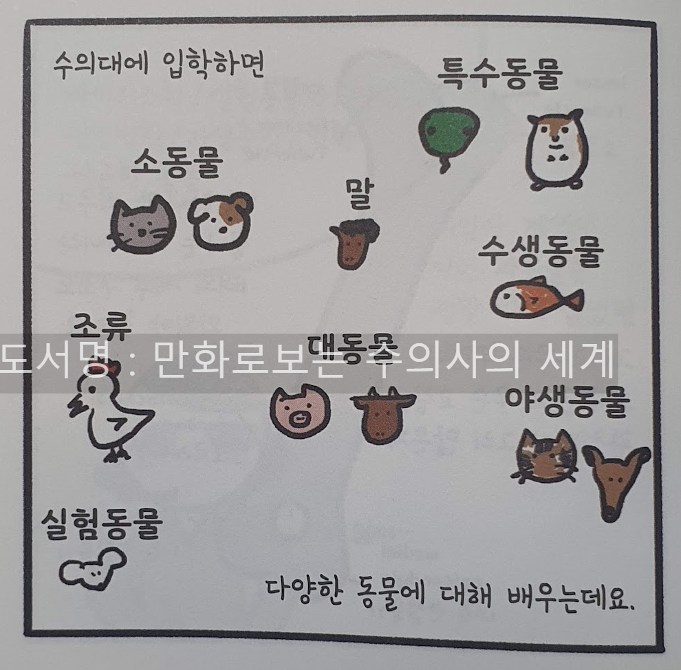 만화로 보는 수의사의 세계 - 수의사대에서 다루는 동물들