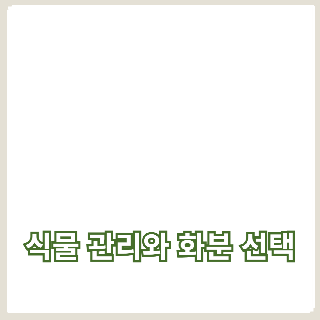 초보자를 위한 실내 가드닝: 식물 관리와 화분 선택 가이드