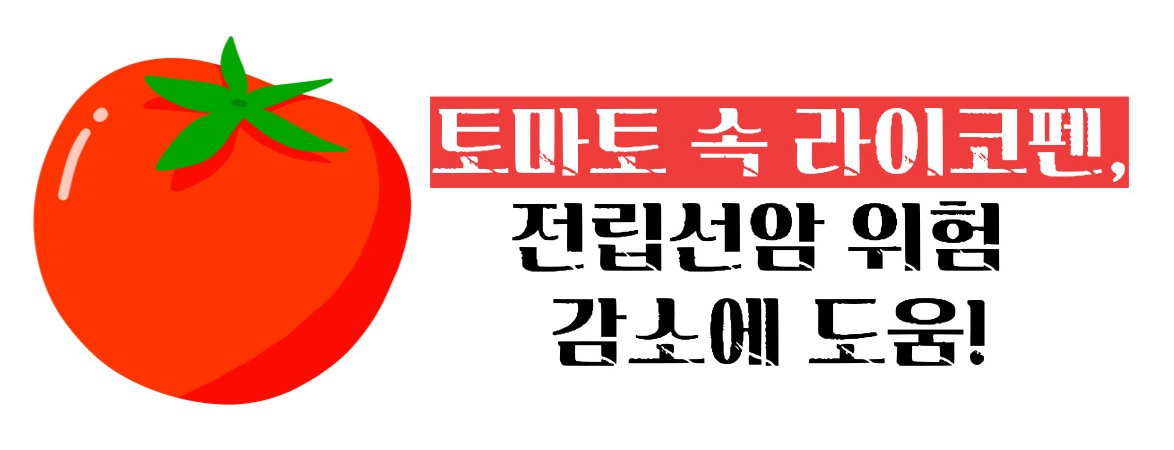 전립선암에 좋은 음식