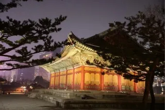 덕수궁 야간개장 예약 꿀팁 정리_20