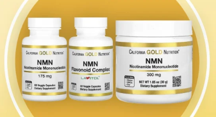 μμ΄νλΈ νλ‘λͺ¨μ
