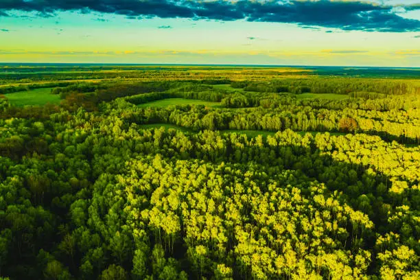 온실가스 관련주 수혜주