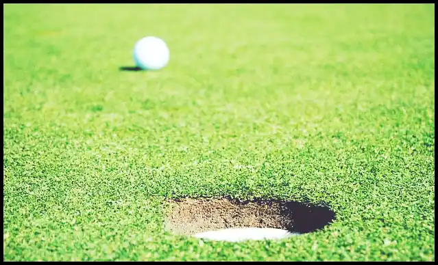 파크골프의 기본자세 (+ 퍼터 )