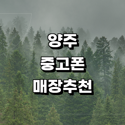 양주시 중고폰