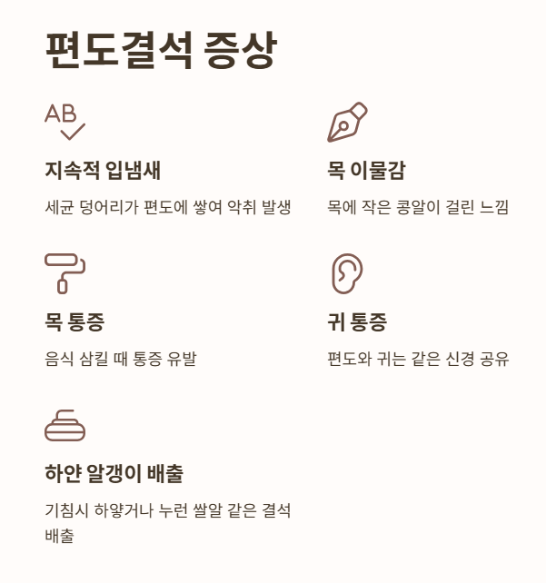 편도결석 증상