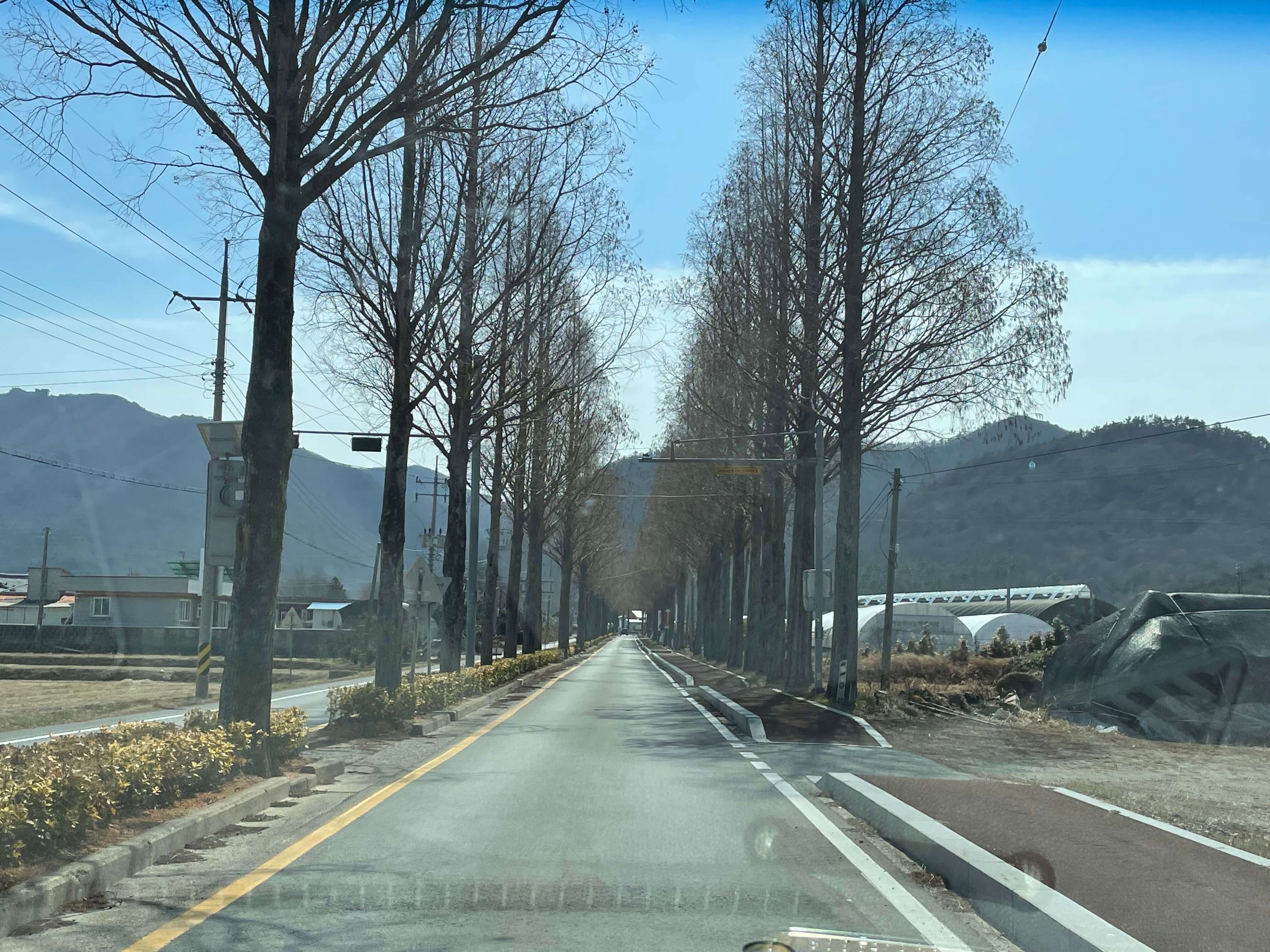 두륜산 케이블카 가는길