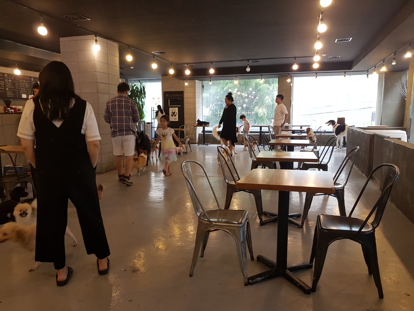애견카페
