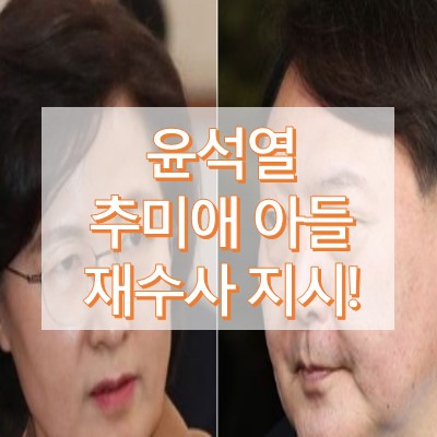 윤석열 추미애 재수사