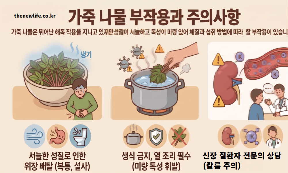 가죽나물 효능 부작용