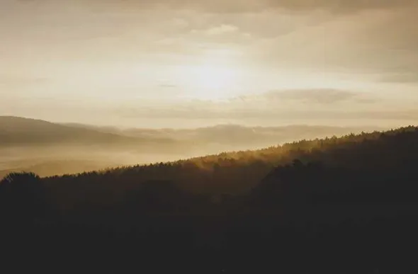 기초생활수급자 자격요건