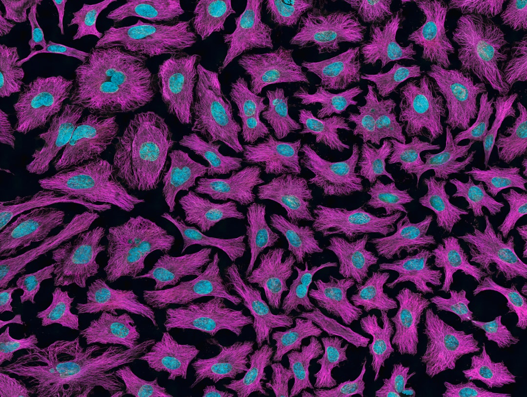 Esophageal cancer