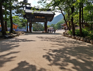 출처 구글이미지 설악산 단풍