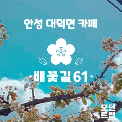 안성 대덕면 카페 배꽃길61