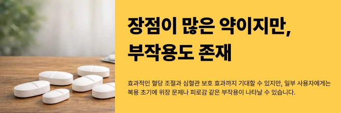 메트포르민 부작용