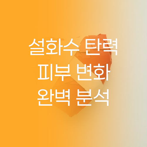 설화수 탄력 세트 완벽 분석 피부 변..