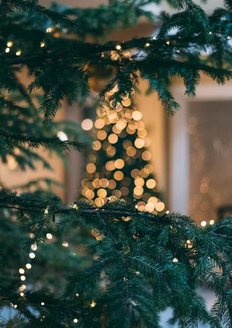 2025 한강겨울축제 로맨틱 한강 크리스마스 마켓, 봄ON한강, 한강바람축제