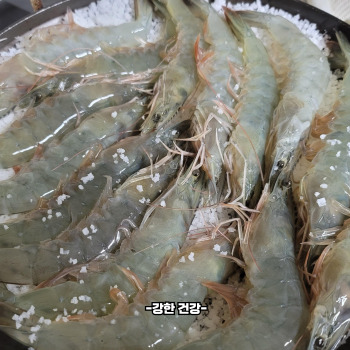 대하 효능