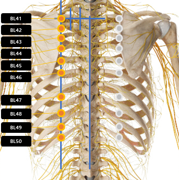 등 주변 혈자리 요약