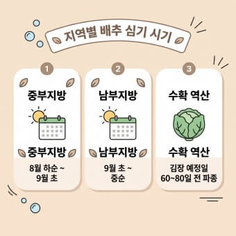 배추 지역별 심는 기기