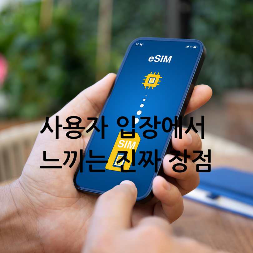 SKT e심 셀프개통과 유심포맷